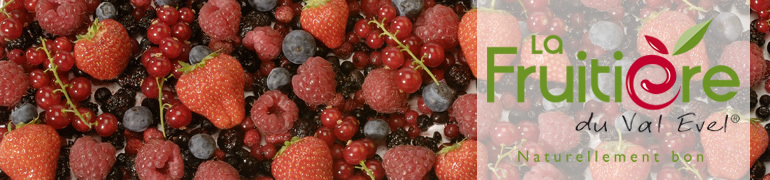 Фруктовые пюре и соусы для десертов LA FRUTIERE (Ля фрутери) в ассортименте Торгового дома «Петровский»